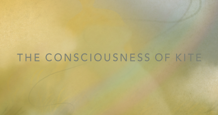ESSAY | The consciousness of kite